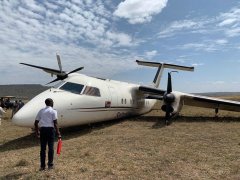 肯尼亞一架飛機降落時與角馬相撞,機上乘客均未受傷-海運費在線查詢