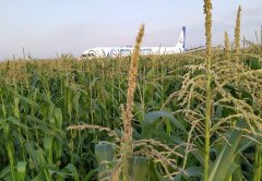 俄羅斯硬核機長把飛機硬著陸玉米地，拯救了整飛機的人！機組成員獲授國家榮