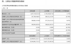 深圳機場上半年利潤凈利潤3.08億元,同比減少16.7%-阿聯酋的國際快遞