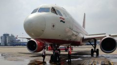 印度航空飛機上發現蜜蜂 航班被迫再次延誤-卡塔爾的空運價格