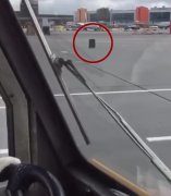 爆笑時刻!俄機場飛機跑道驚現“逃亡”行李箱-運費報價
