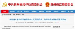 沙特阿拉伯的國際快遞貴州遵義茅臺機場公司副總經理王強接受審查調查