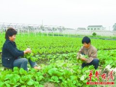 埃塞俄比亞-長沙國際會展中心選址黃興鎮 污染之鄉轉型/圖