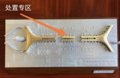 法國(guó)空運(yùn)-從落地到隔離 國(guó)內(nèi)機(jī)場(chǎng)嚴(yán)守第一道關(guān)卡