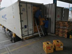 東南亞空運蛇口港,進口水果第一季度箱量增長46%——兩步申報,船邊直提,最