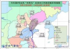 “利奇馬”已致651萬人受災這些地方仍要嚴陣以待-上海空運