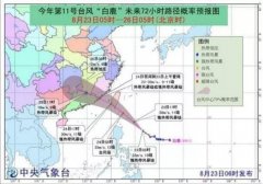 臺風藍色預警:“白鹿”24日或正面登陸福建！-運費報價